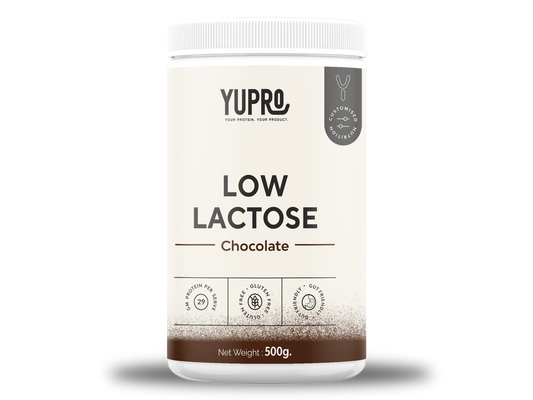 Chocolate Whey Protein Isolate (Low Lactose)Powder_500g