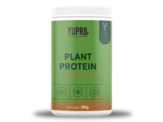 Café Mocha Plant Protein Powder 500g