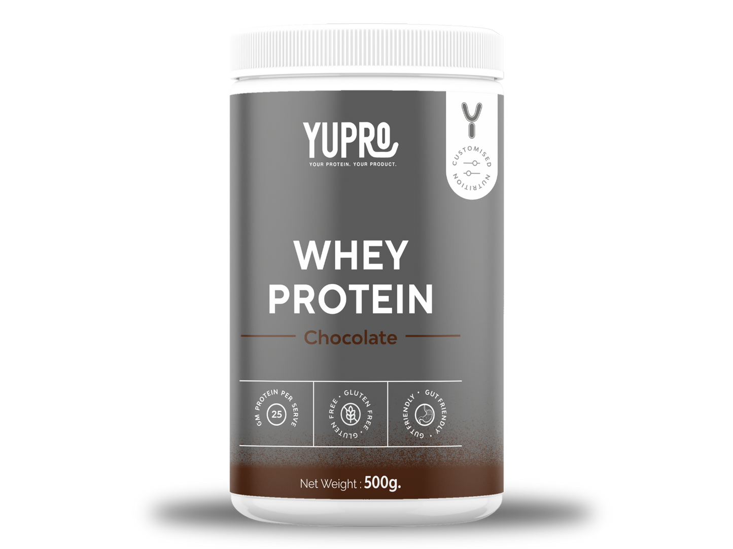 Chocolate Whey Protein Powder 500g