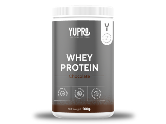 Chocolate Whey Protein Powder 500g